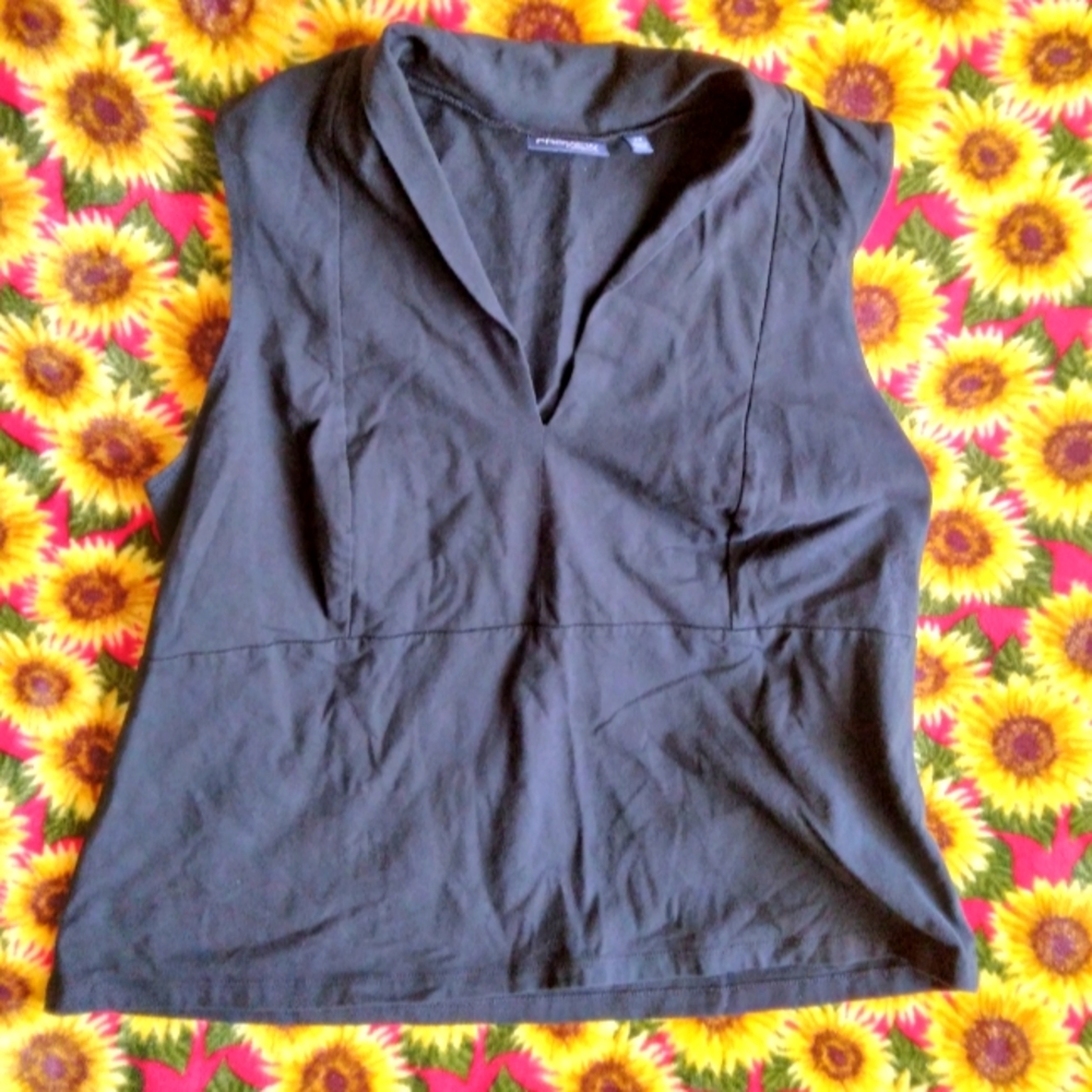 Preview International sleeveless plunge fitted line top size 2X